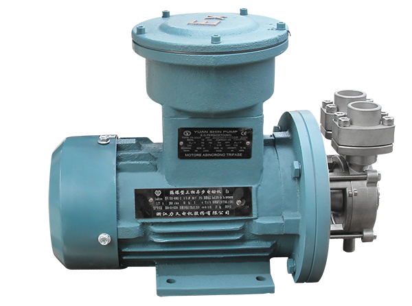 YS-20A-FEX不锈钢高温热水循环泵